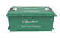 Golfmobil-Batterien Ion Deep Cycle Batterys 48V des Lithium-105Ah